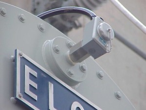 Figure 41 – Photograph of a Bladder