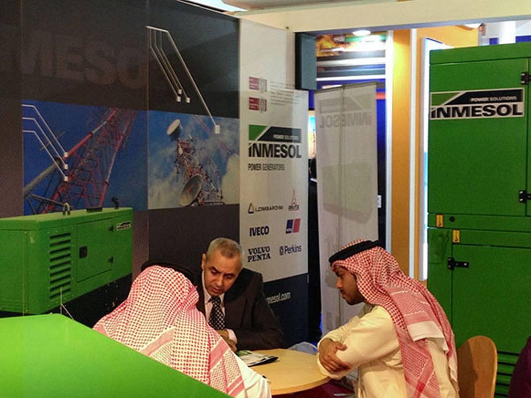 Middle-East-Electricity-2013