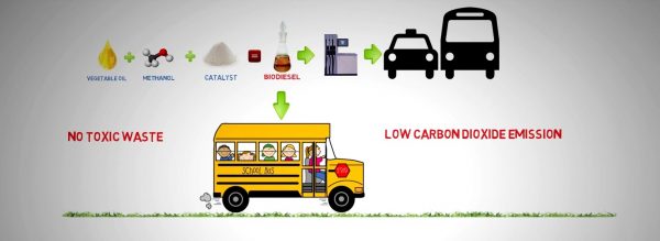 Producción de biodiesel a partir de grasas residuales