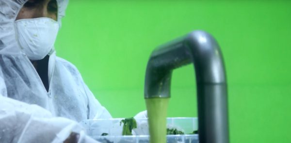 Molino coloidal para la industria alimentaria