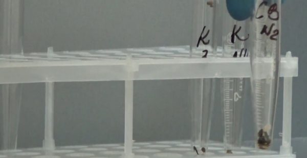 Utilización de estiércol con ayuda del aparato de capa vortex