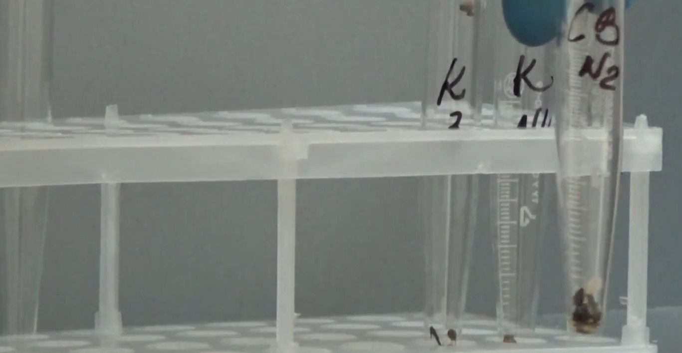 Utilización de estiércol con ayuda del aparato de capa vortex