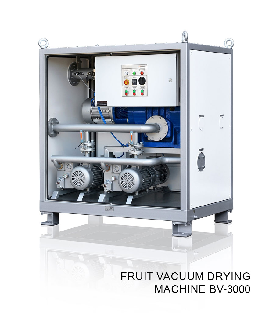 Fruit vacuum drying machine BV-3000