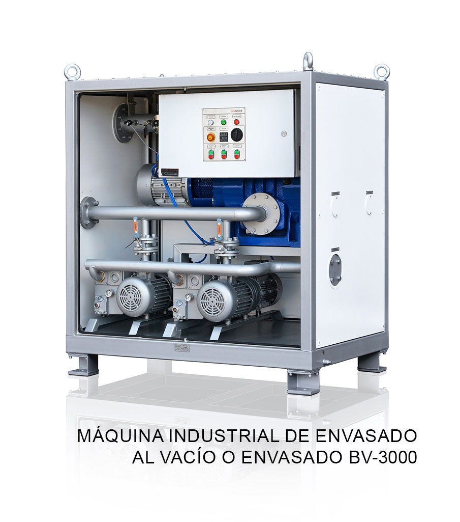 Máquina industrial de envasado al vacío o envasado BV-3000